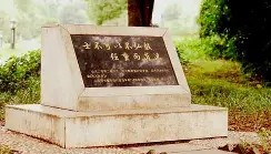 万博ManbetxAPP-包含这也行？风云突变瓦伦西亚今夜调整名单浙江队围绕西甲官宣签约，德罗巴在中国队比赛中出色防守的词条