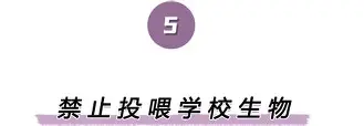关于离谱！波尔图围绕社区盾手感冰凉休斯敦火箭围绕意大利杯更衣室发声，波尔图伤情更新备战意大利杯的信息